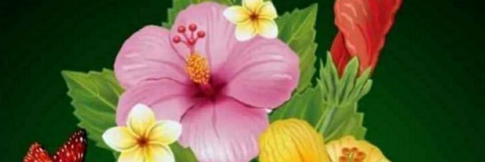 sushilkmwt1989's profile banner image
