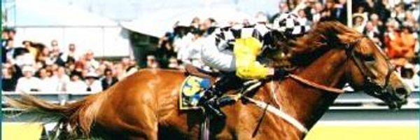 RacingInSpring Profile Banner