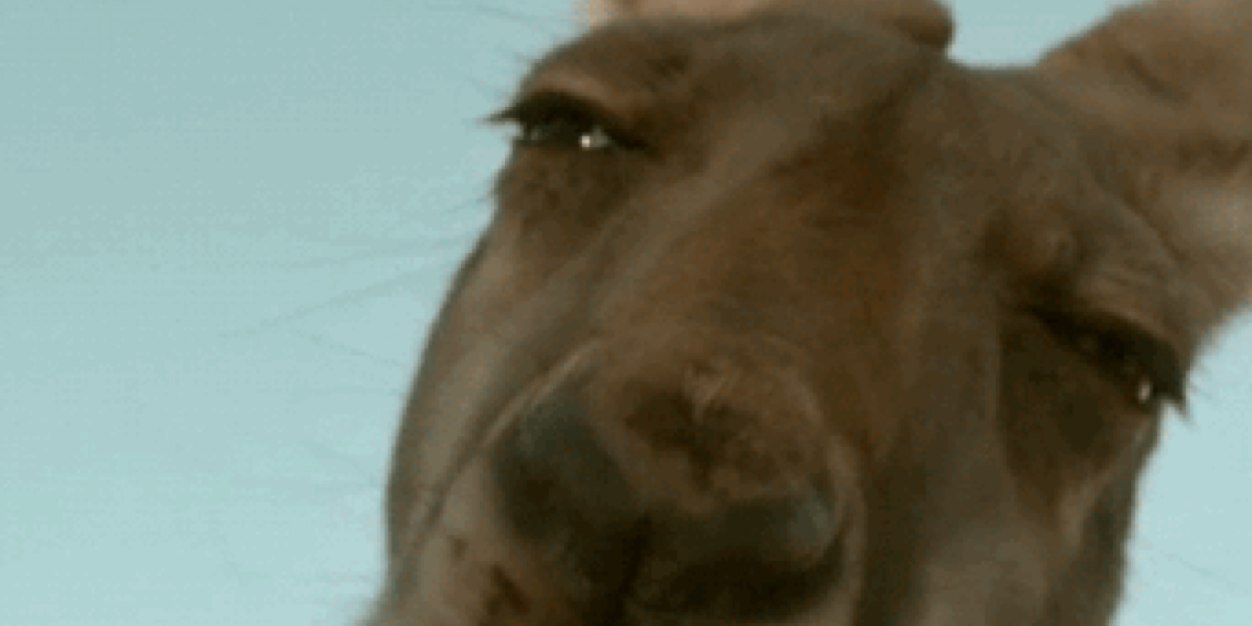 KING_C0LE's profile banner image