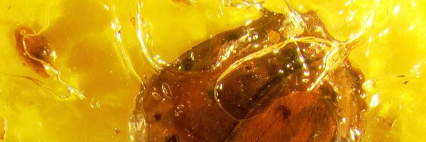 KStackWhitney Profile Banner