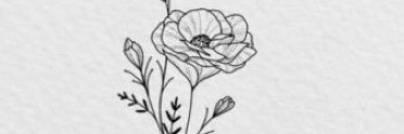MichaelaBlansh's profile banner image