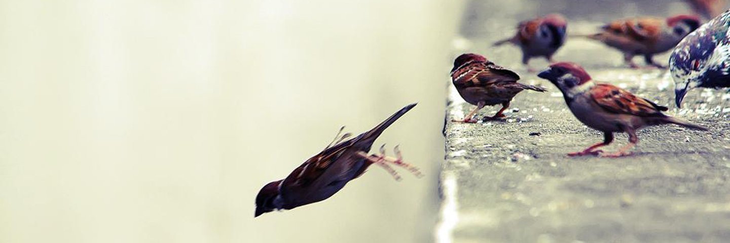 basem_khaled's profile banner image