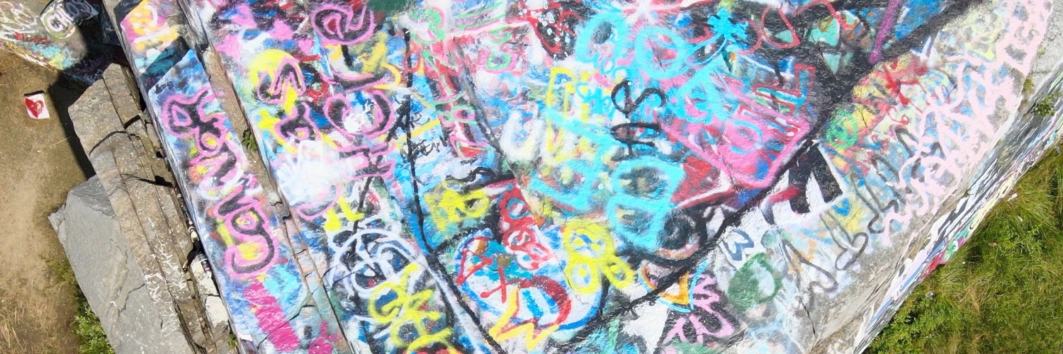 gobirdlike's profile banner image