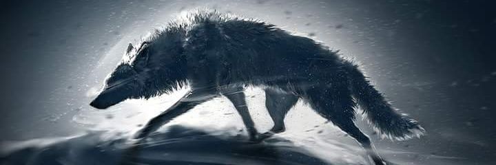 a_ambus's profile banner image
