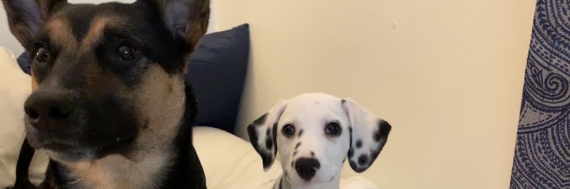 lynch_corey4's profile banner image