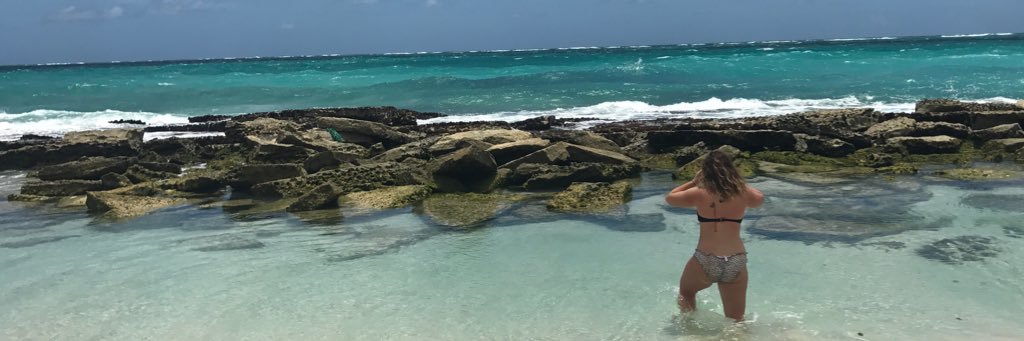megjuuude's profile banner image