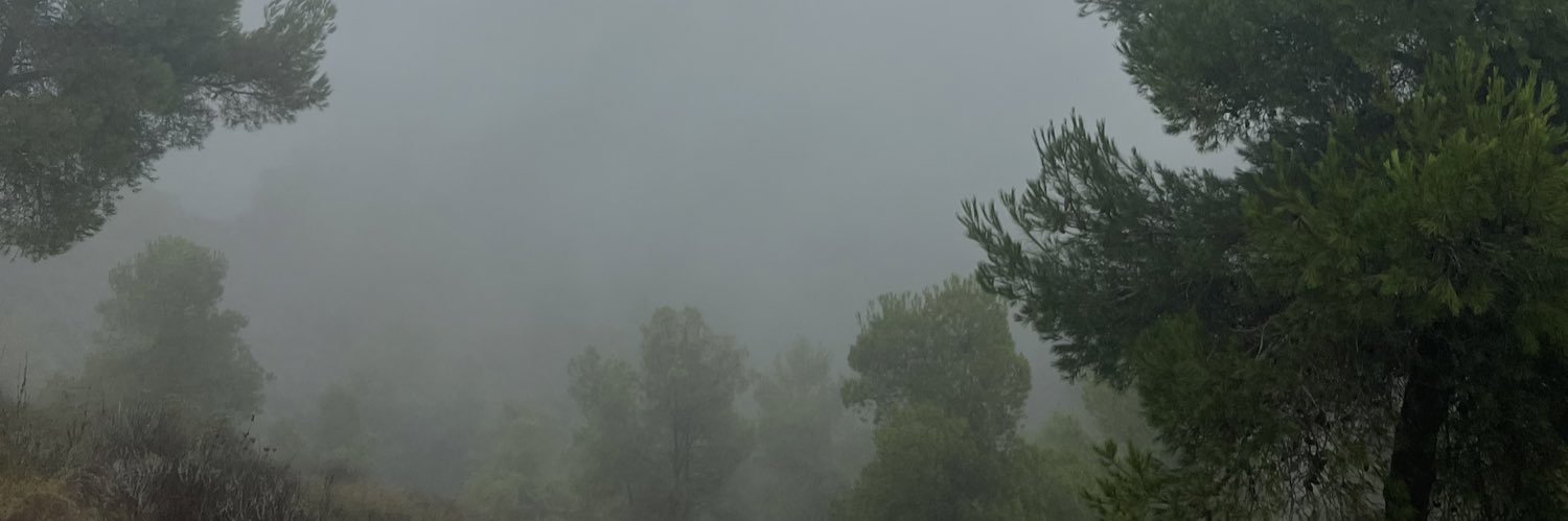 franmmamm's profile banner image