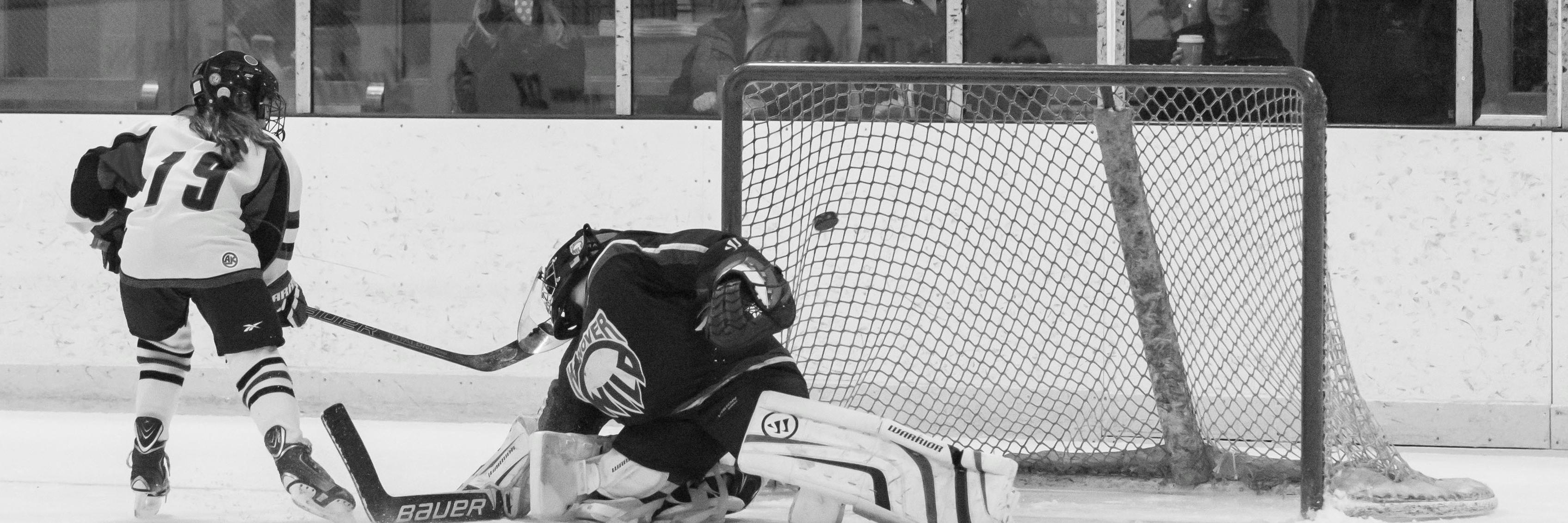 Bob Bongo banner