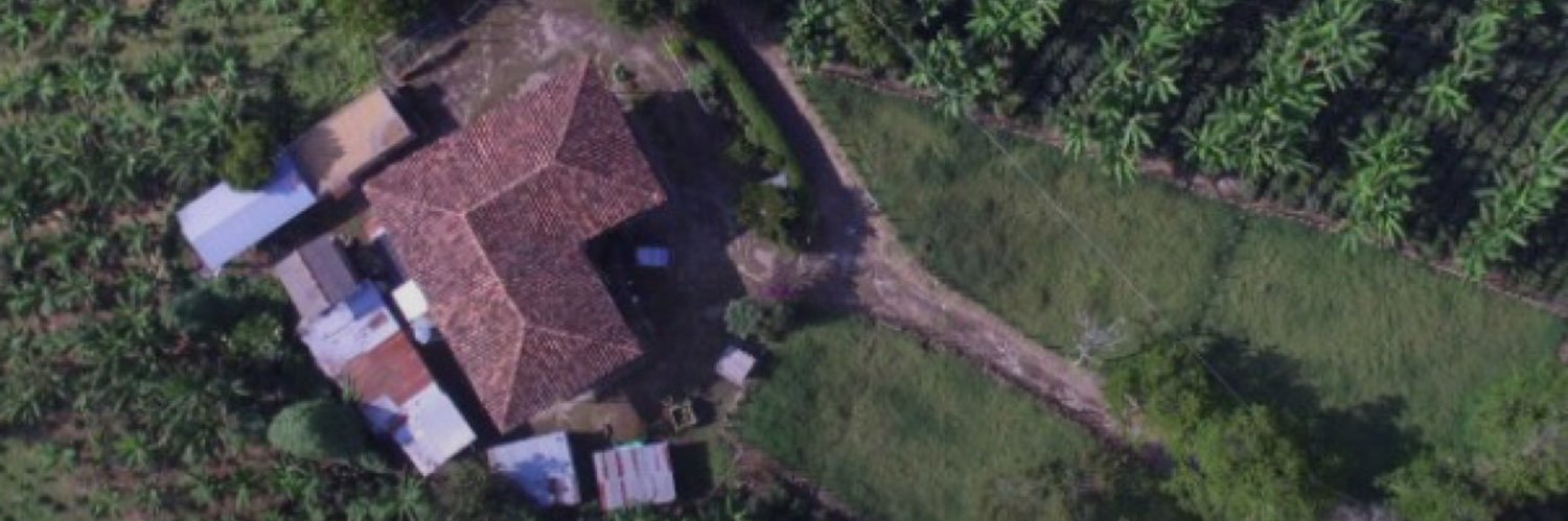 Gabriel Levy 🌎 banner