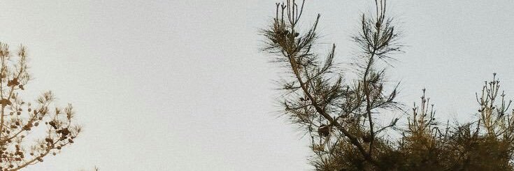 ii_mraim's profile banner image