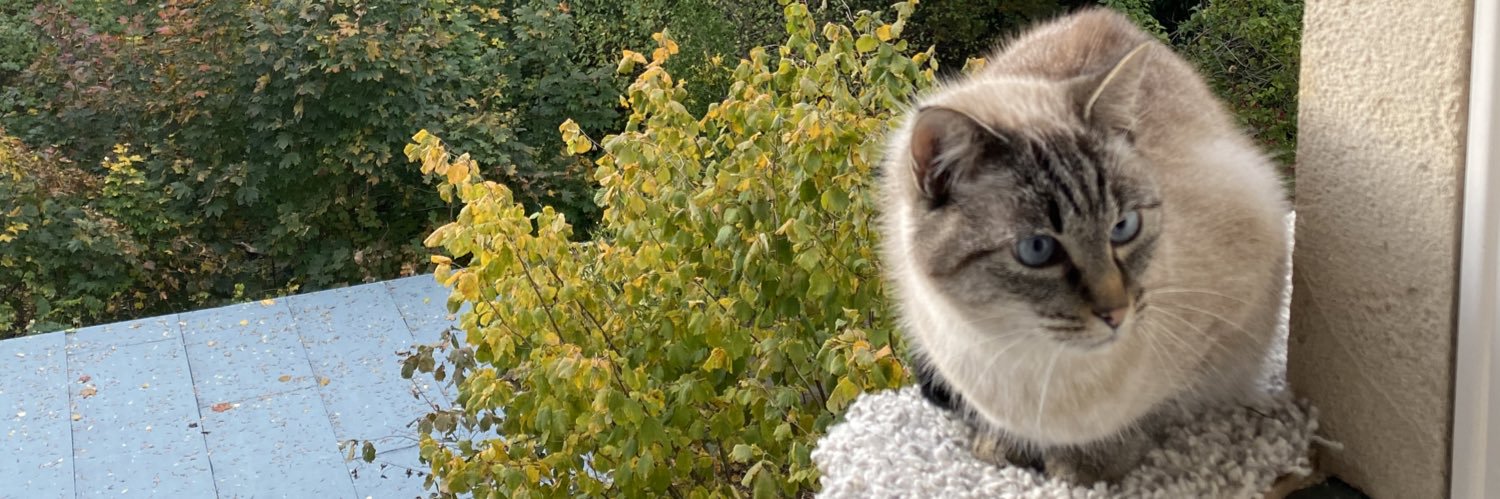 leobrgs's profile banner image