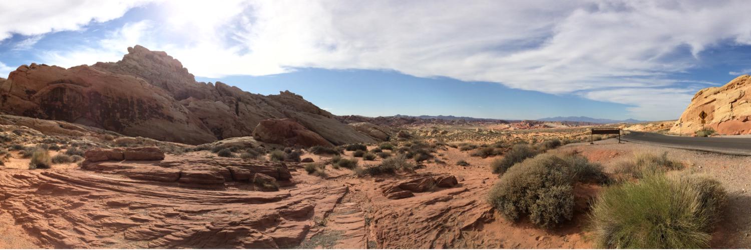 Lindsay Grier banner