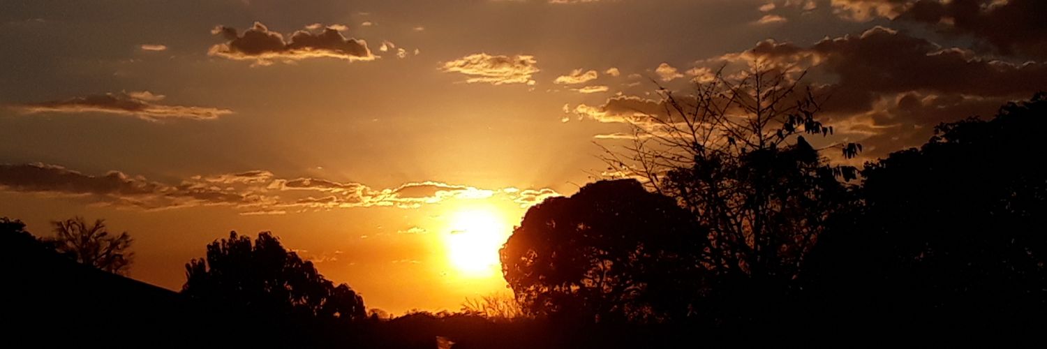 Leetibr's profile banner image