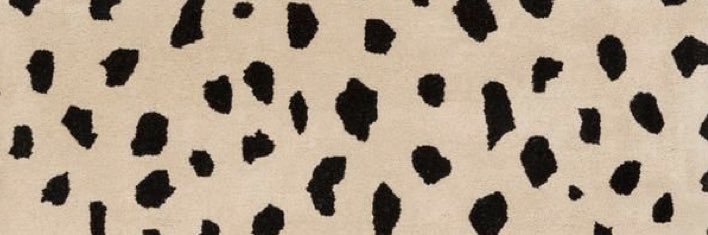 ashleyerwin13's profile banner image