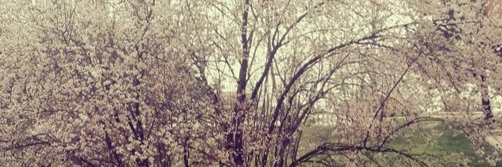 bsraolgn's profile banner image