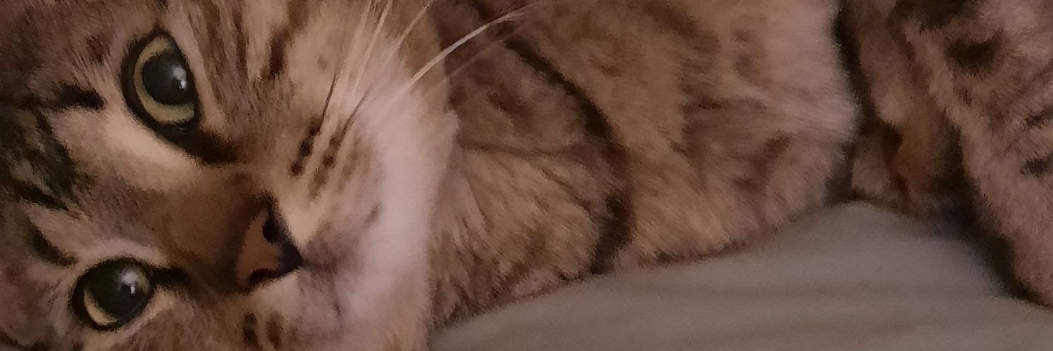 john62865311's profile banner image