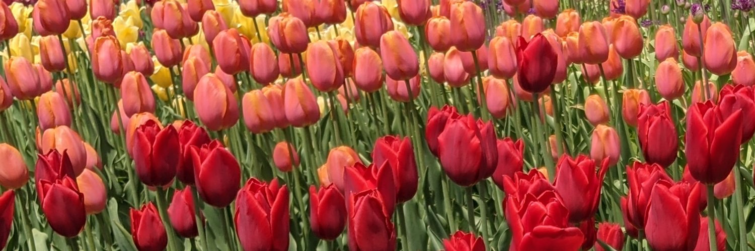 aleatoryw's profile banner image
