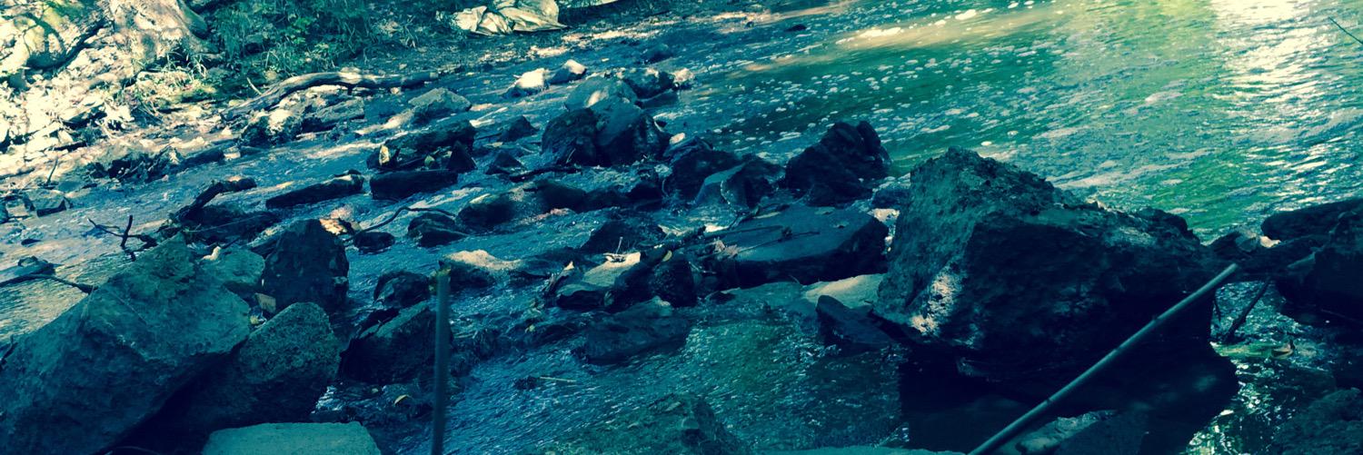BraydenSully19's profile banner image