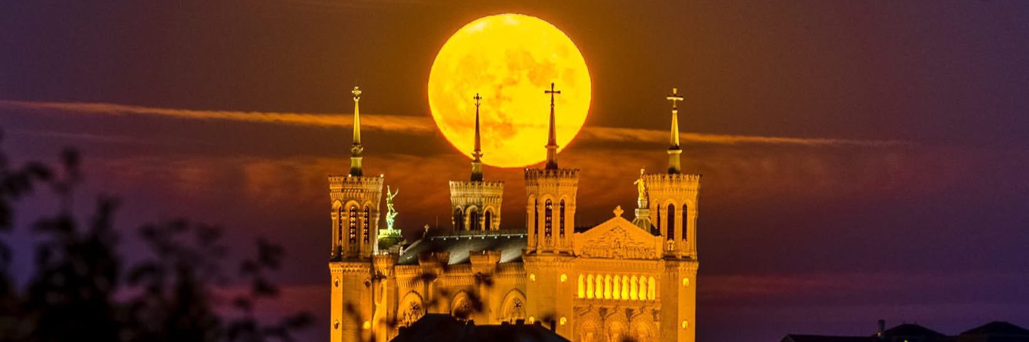 𝑶𝒄𝒄 🪼 banner