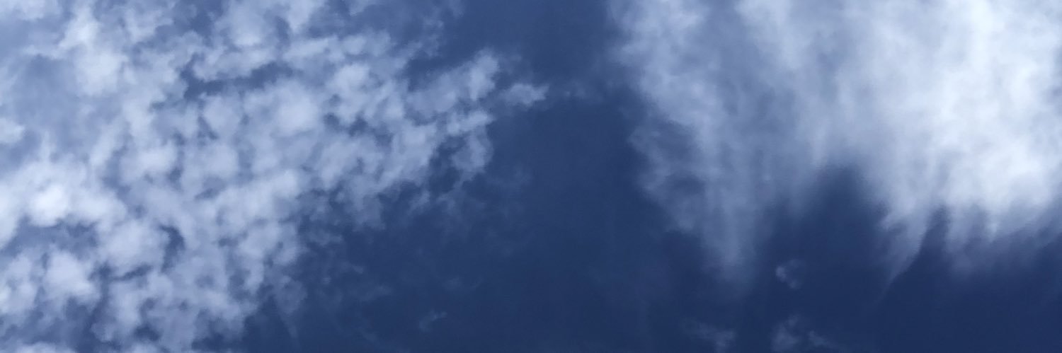 PetryLeite's profile banner image