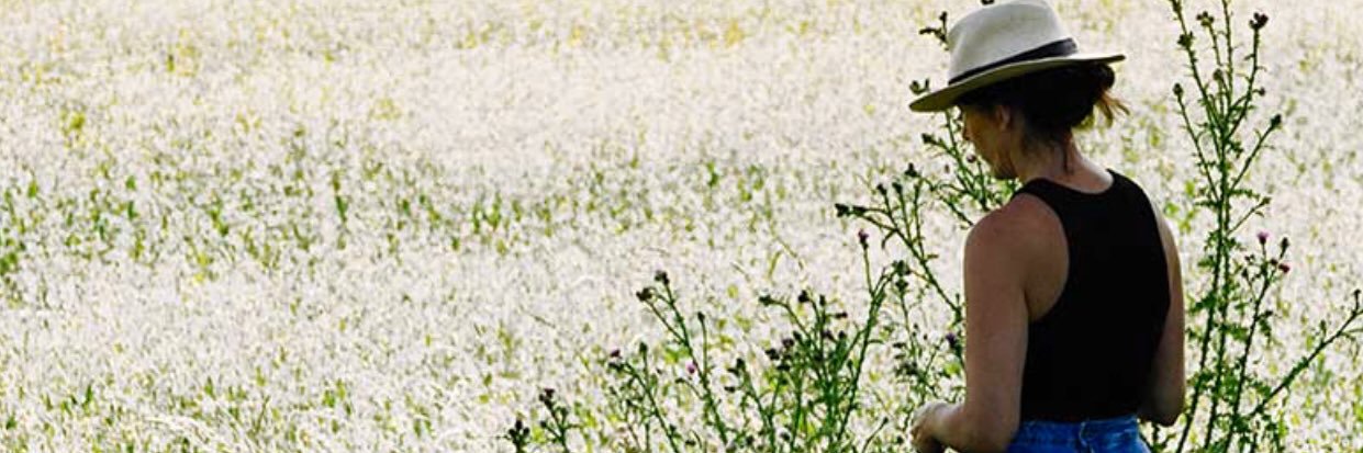 sarahmitchenall's profile banner image