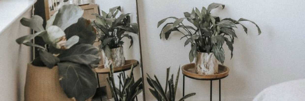 lor__________'s profile banner image