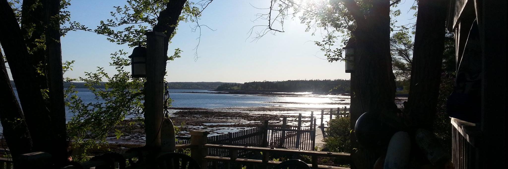 Brian McAlister banner