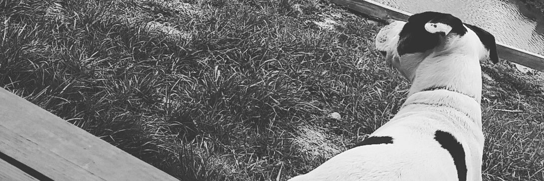 CSue96x's profile banner image