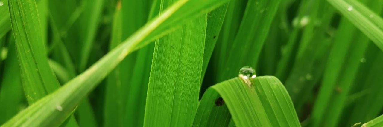 saikrishnae2's profile banner image