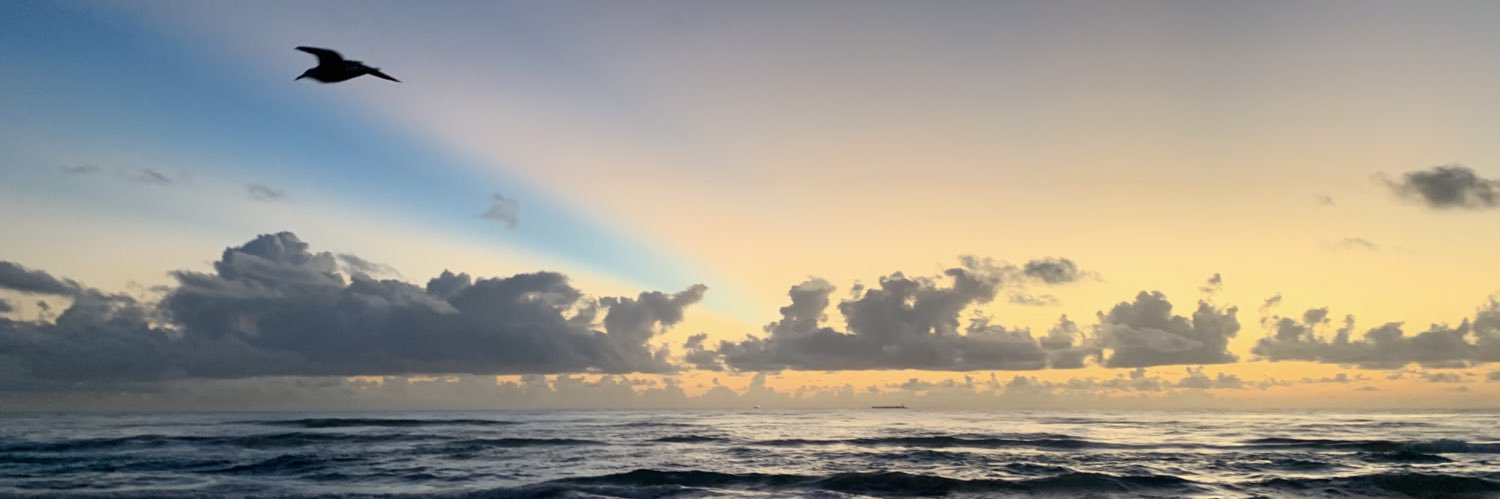 hannaroseander's profile banner image