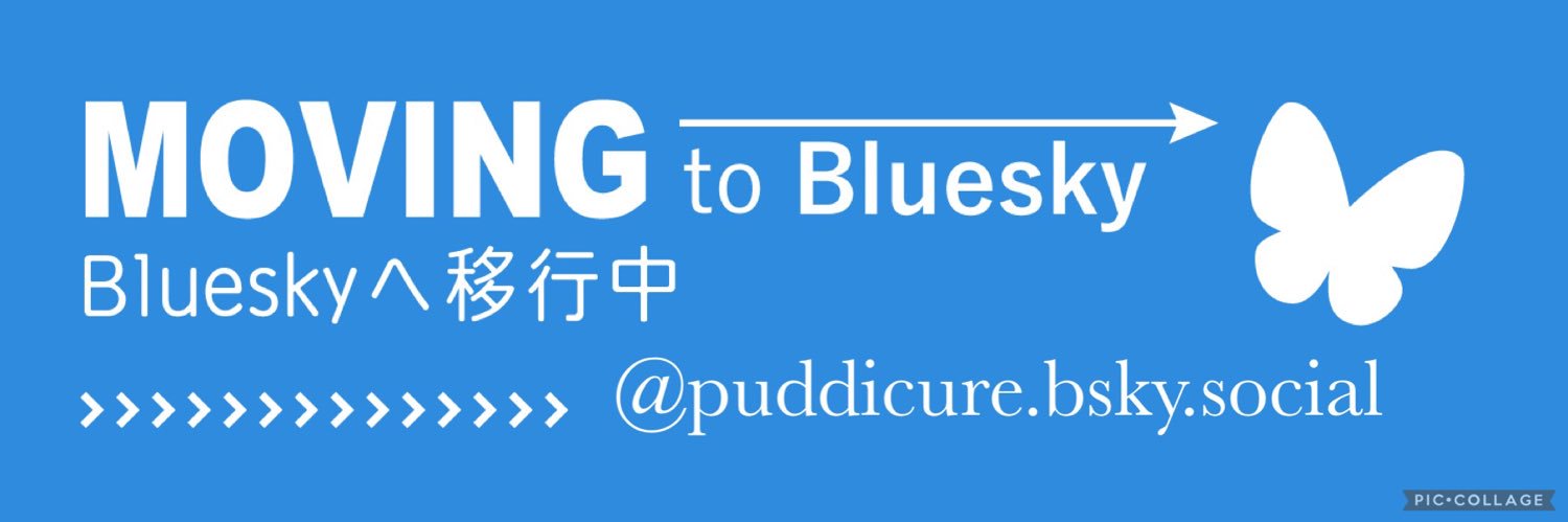 PuddiCure's profile banner image