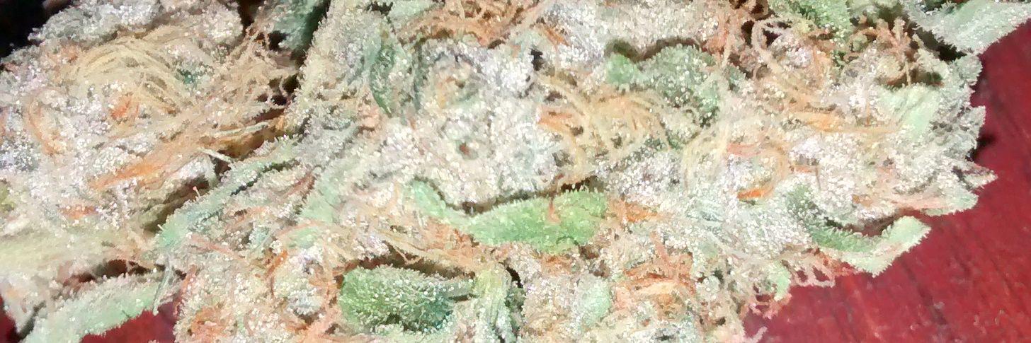 SkyMac420's profile banner image