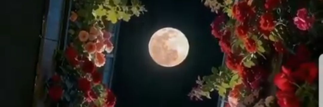 cbrxxo's profile banner image