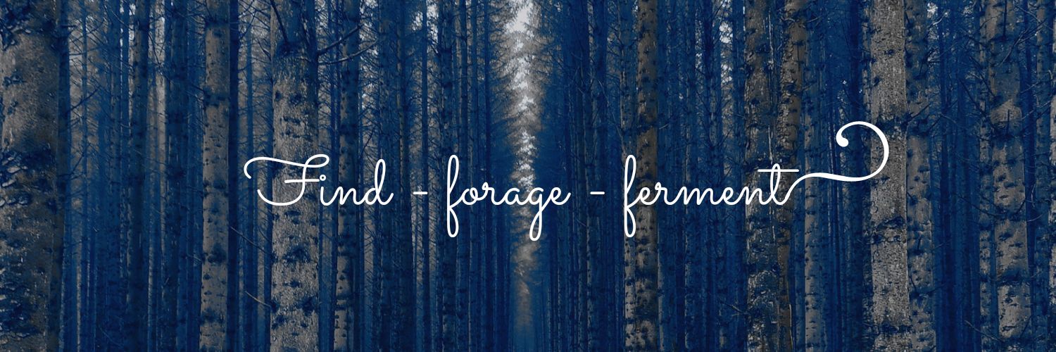 ARankineForager's profile banner image