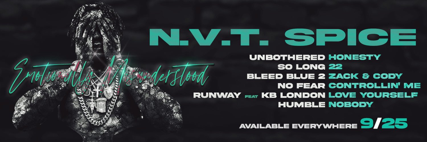 nvtspice's profile banner image