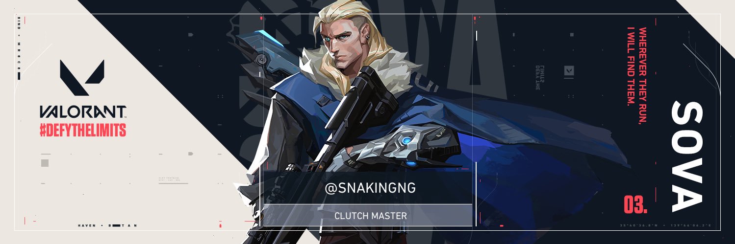 SnakingNG's profile banner image