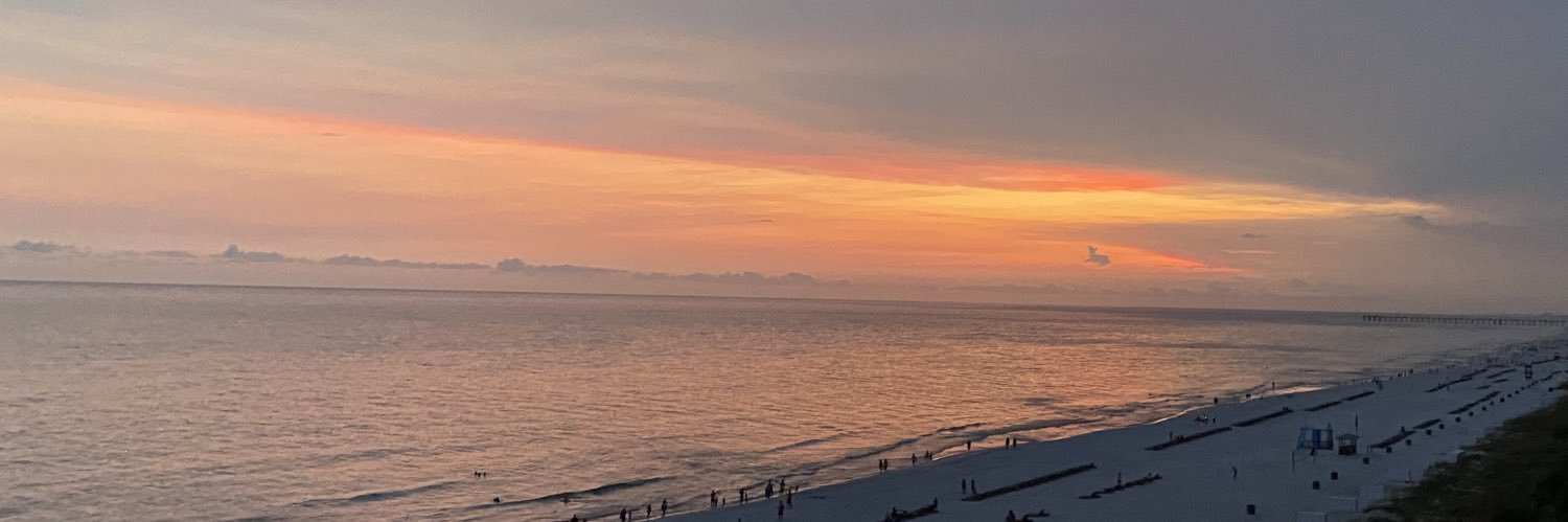 maxwilliams_4's profile banner image
