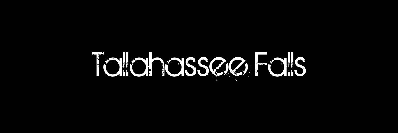 TallahasseeFall's profile banner image