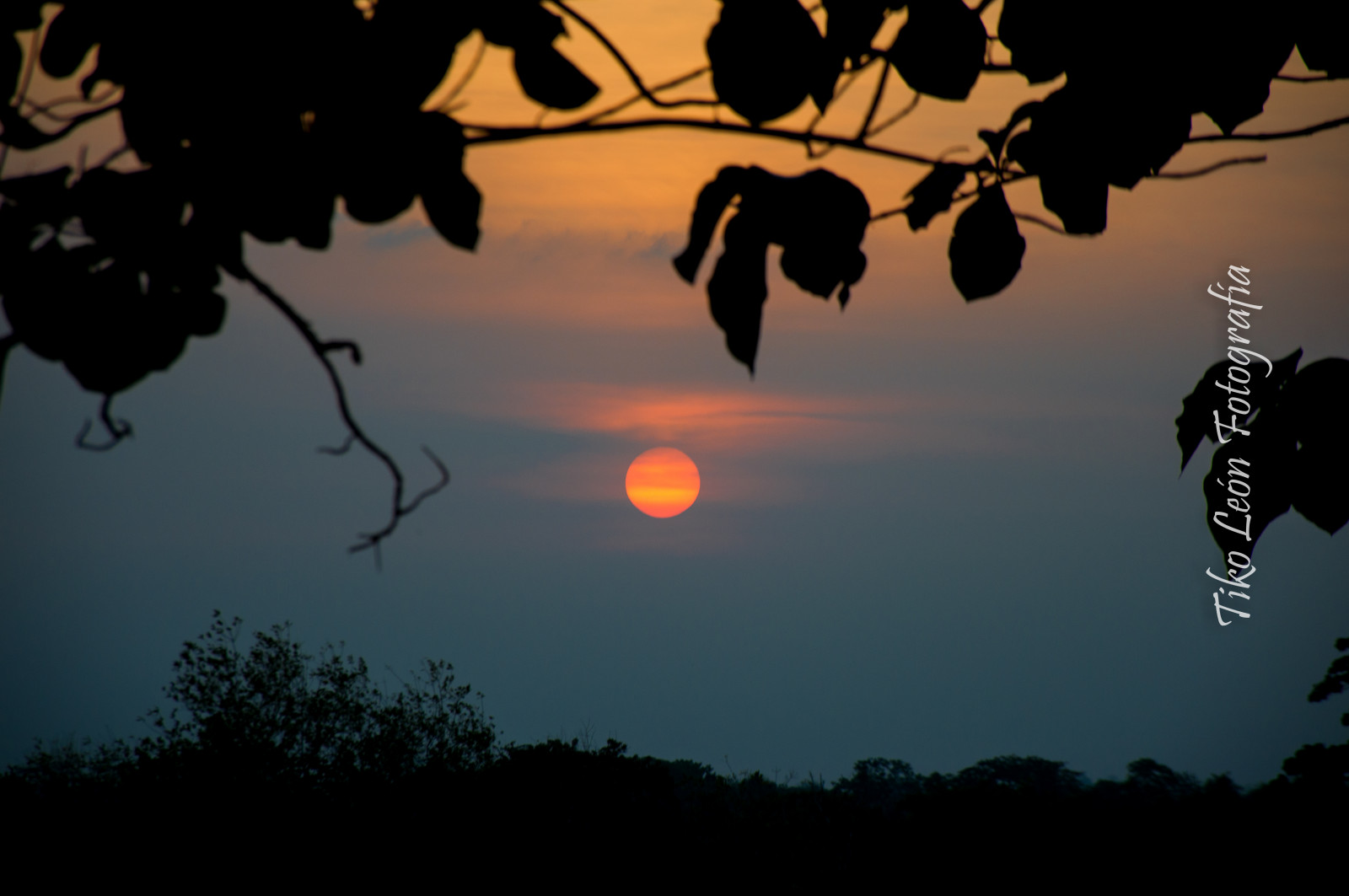 HarshHarwani91's profile banner image