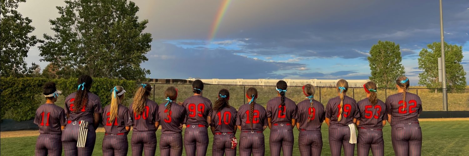 Louisville Lady Sluggers banner