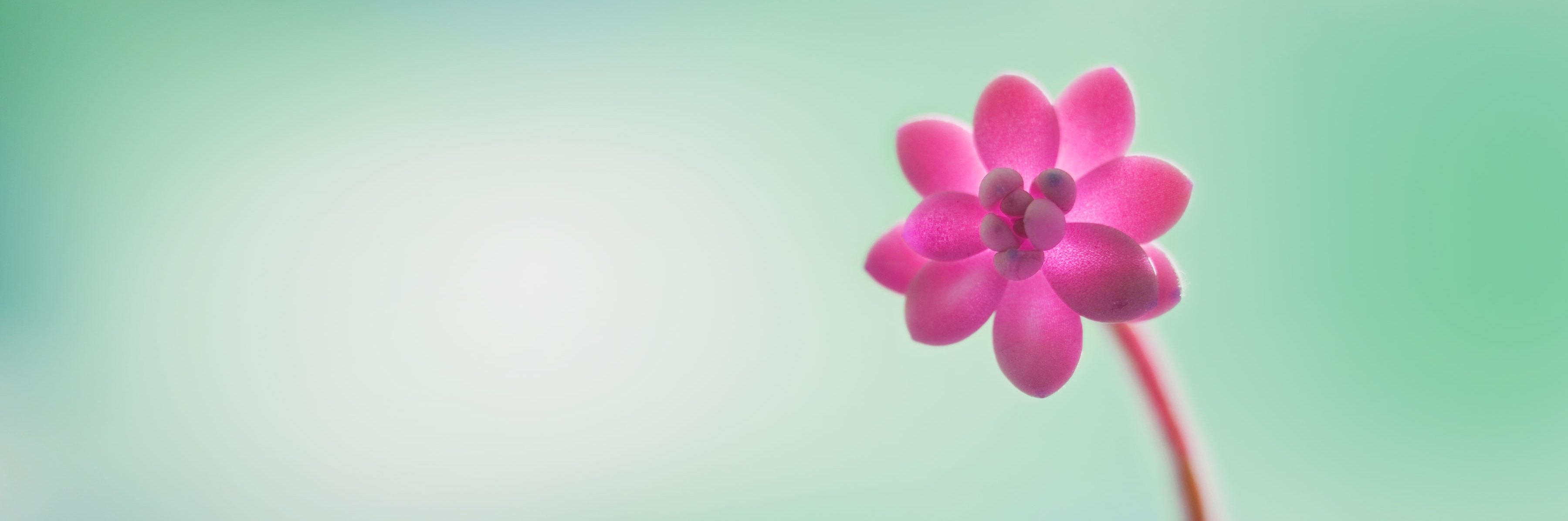 Colourfuuul's profile banner image