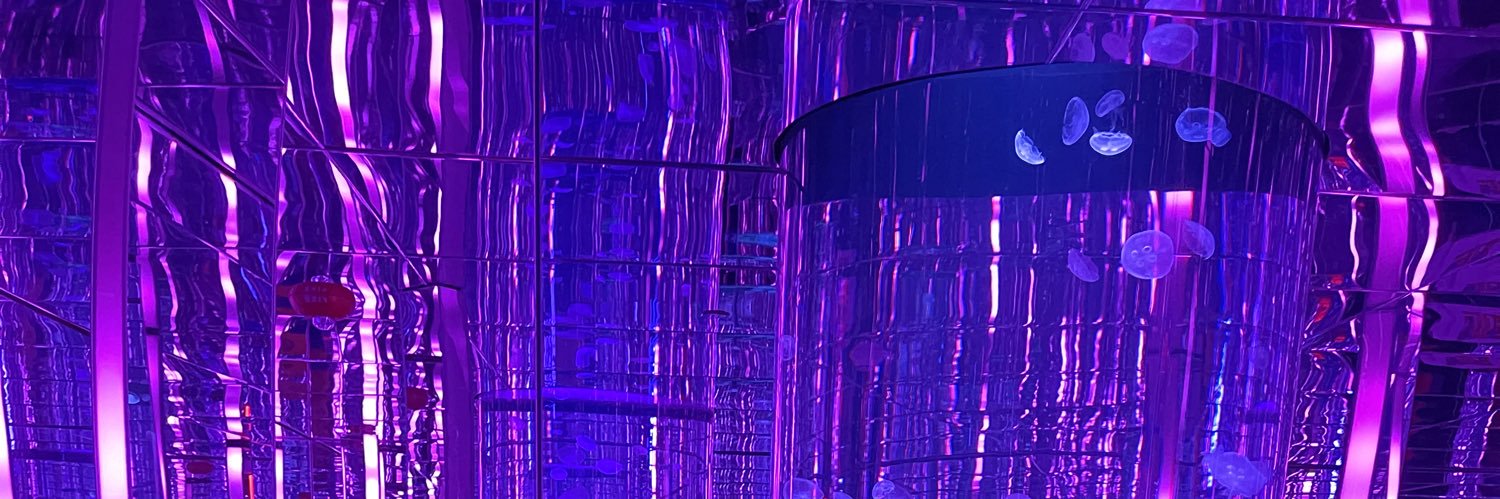 WalleHebb's profile banner image