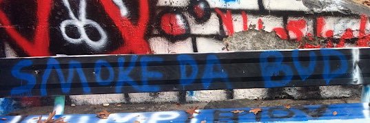 RYDical's profile banner image