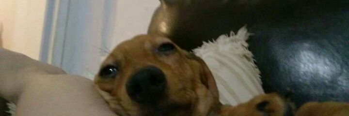 vick_clima's profile banner image