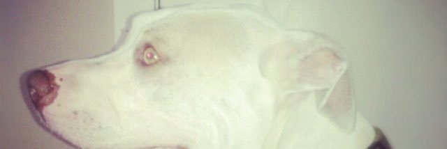 andrewbehrend's profile banner image