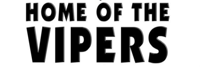 Varela Vipers banner