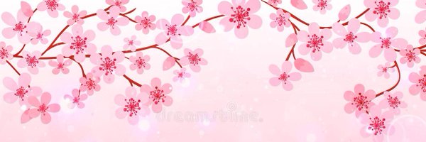 NinjaKaiPH Profile Banner