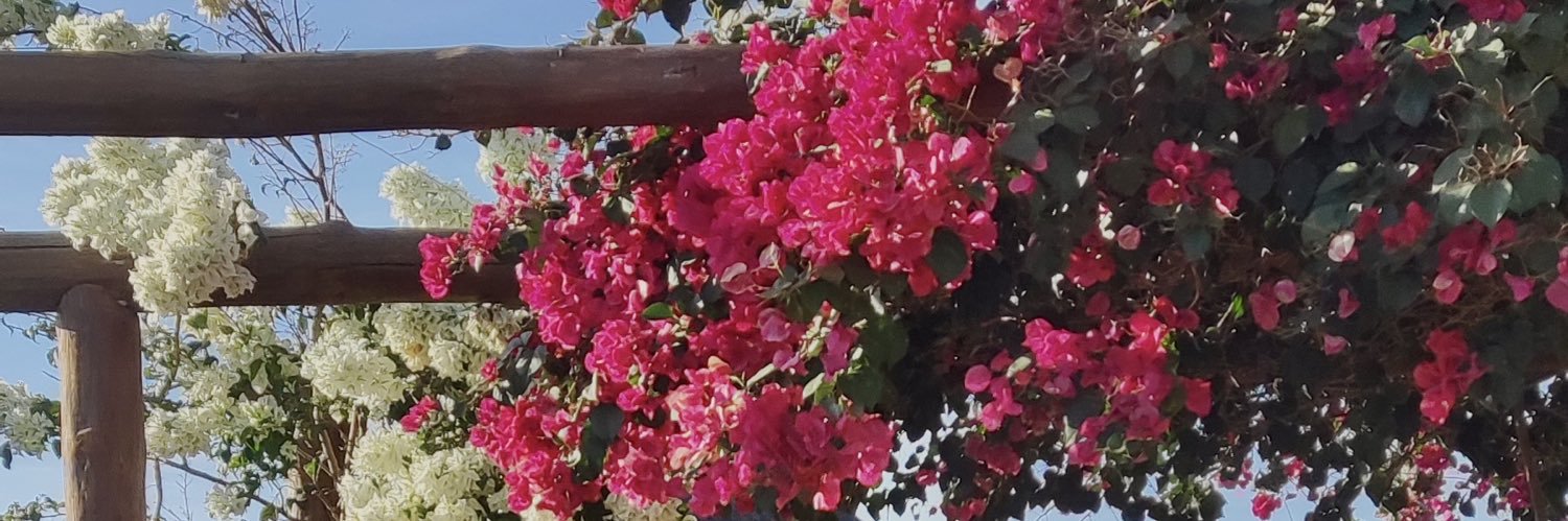C4mumila_'s profile banner image