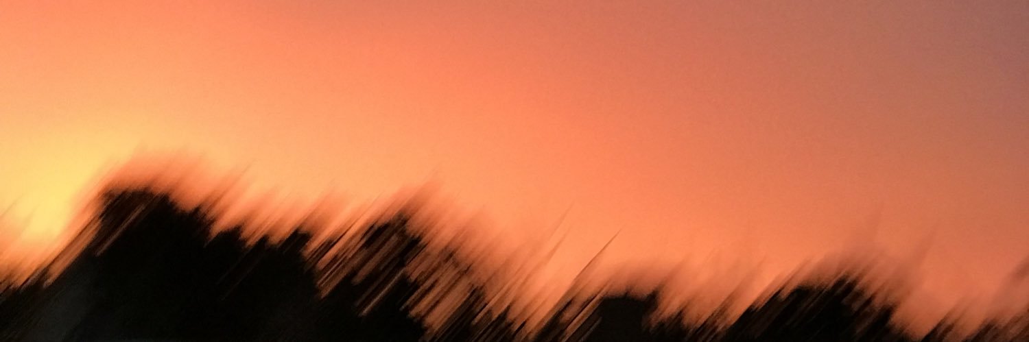 anny__carolinny's profile banner image