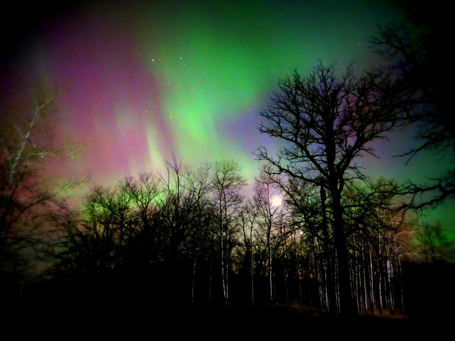 Eldon Zigarlick banner